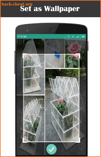 DIY Greenhouse Step by Step screenshot