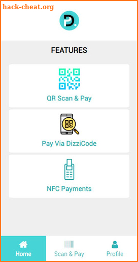 DizziPay – A Digital and Secure Payment App screenshot