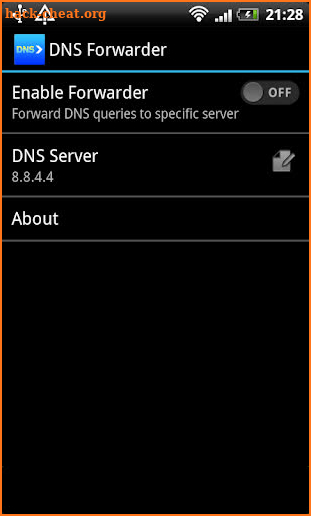 DNS forwarder screenshot