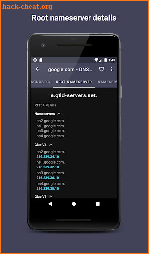 DNS Hero (open source) screenshot