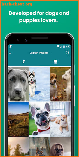 Dog 365 wallpapers - Images puppies and doggies screenshot