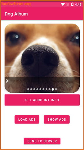 Dog Album screenshot