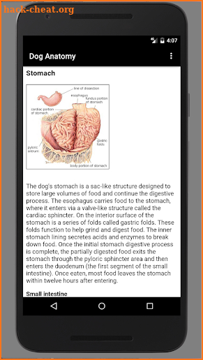 Dog Anatomy : Canine Anatomy screenshot