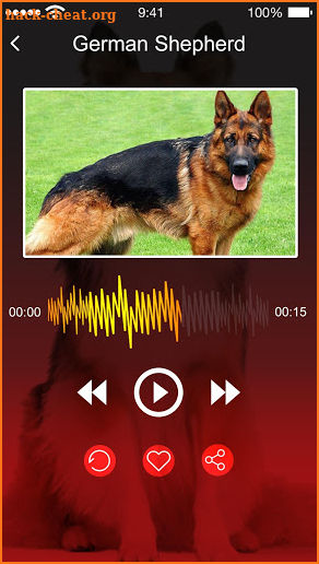 Dog Barking Sounds and Noises screenshot