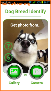 Dog Breed Auto Identify Photo screenshot