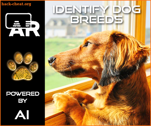 Dog Breed Identification AR screenshot