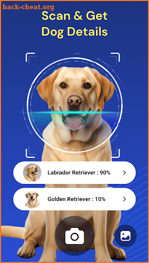 Dog Breed Identifier by Photo screenshot