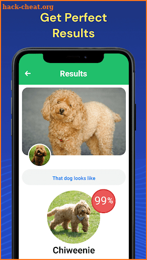 Dog Breed Identifier by Photo screenshot