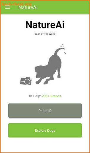 Dog Breed Identifier - Dog Scanner screenshot