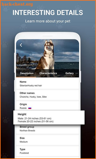 Dog Breed identifier, Scanner by Photo Camera 2019 screenshot