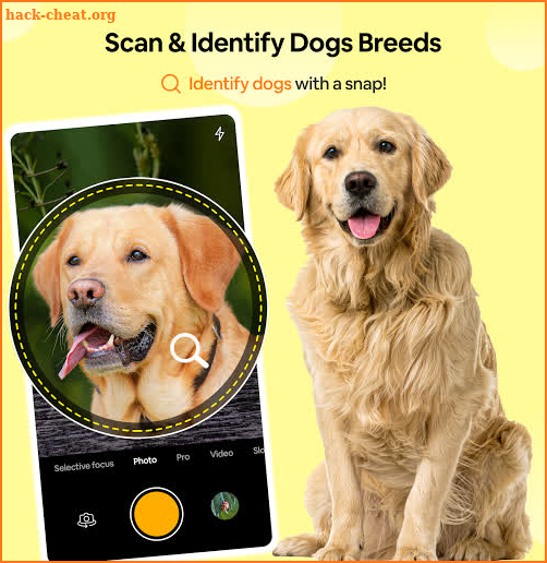 Dog Breed Scanner– Dog Breed Identifier by Picture screenshot