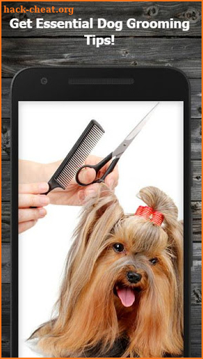 Dog Care & Grooming screenshot