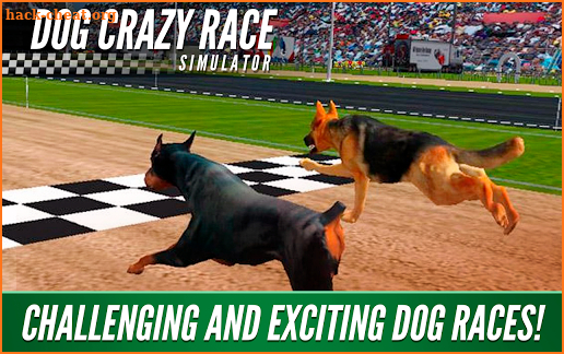 Dog Crazy Race Simulator screenshot