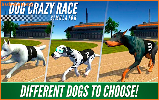Dog Crazy Race Simulator screenshot