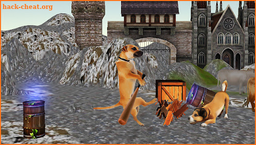 Dog Fighting _ Animal Kung Fu screenshot