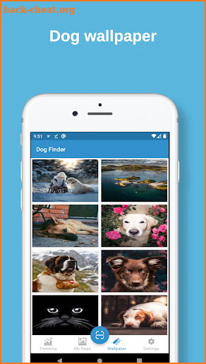 Dog Finder:  identification, wallpaper screenshot