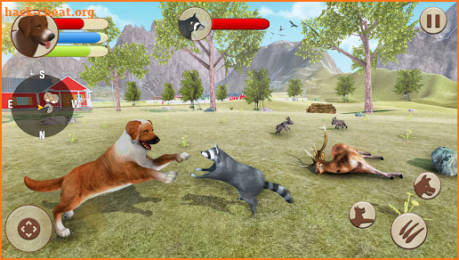 Dog Life: Animal Simulator Game screenshot