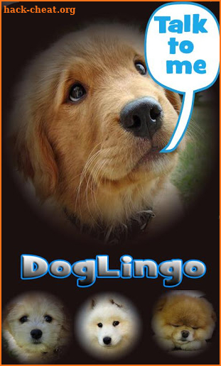 Dog Lingo - talk to your dog screenshot