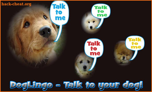 Dog Lingo - talk to your dog screenshot