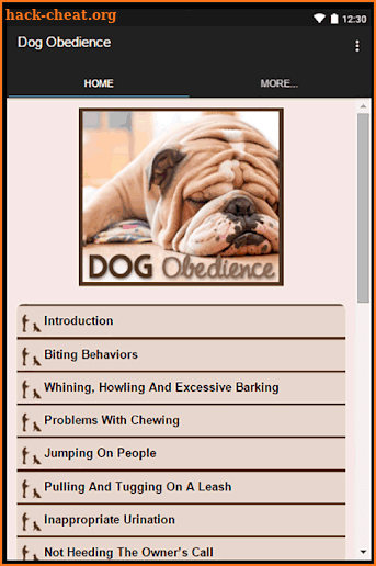 Dog Obedience screenshot