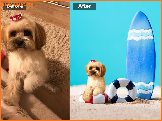 Dog Photo Editor - Background Changer and Eraser screenshot