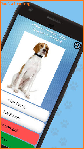 Dog Quiz:Trivia Questions–Guess the dog breed quiz screenshot