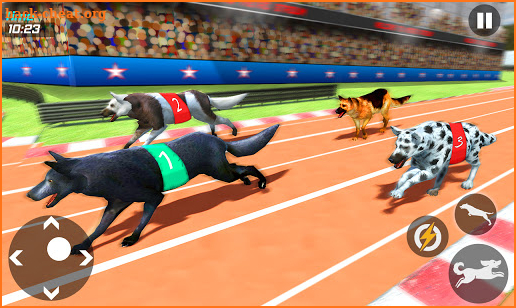 Dog Race Game: New Kids Games 2020 Animal Racing screenshot