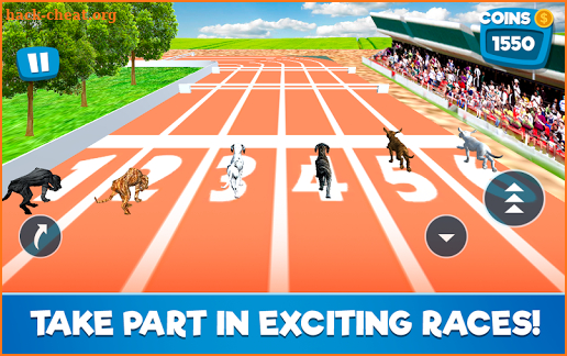Dog Race Simulator 2018 screenshot