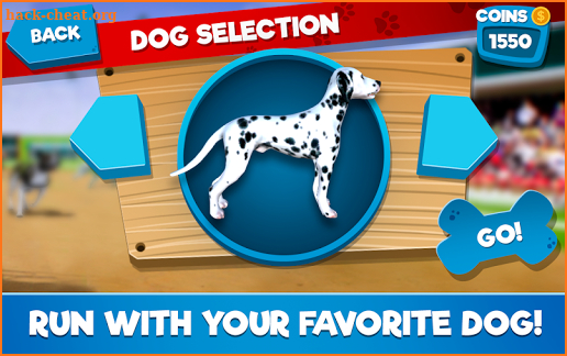 Dog Race Simulator 2018 screenshot