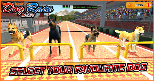 Dog Racing Action Game screenshot