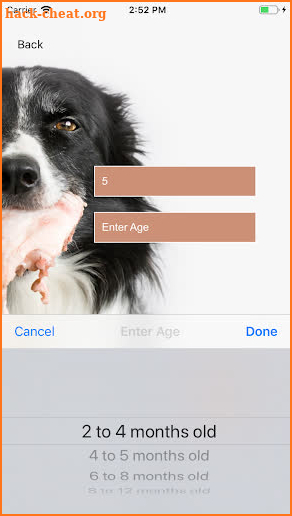 Dog Raw Feeding Calculator screenshot