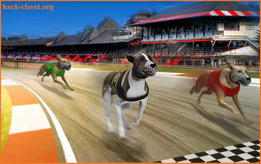 Dog real Racing  Derby Tournament simulator screenshot