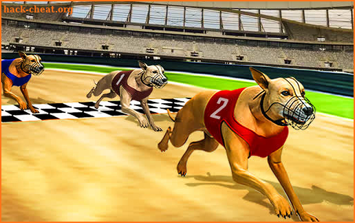 Dog real Racing  Derby Tournament simulator screenshot