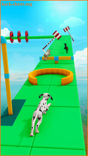 Dog Run 3D - Fun Race screenshot