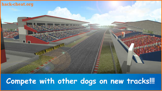 Dog Run - Pet Greyhound Dog Simulator Race 3D 2020 screenshot