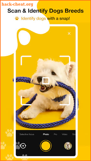 Dog scanner - Dog Breed ID screenshot