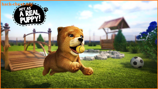 Dog Simulator screenshot