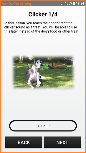 Dog - training and clicker screenshot