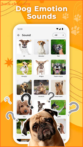 Dog Translator & Trainer screenshot