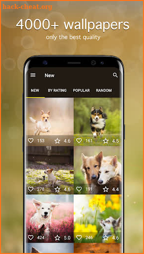 Dog Wallpapers & Puppy Backgrounds screenshot