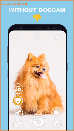 DogCam - Dog Selfie Filters and Camera screenshot