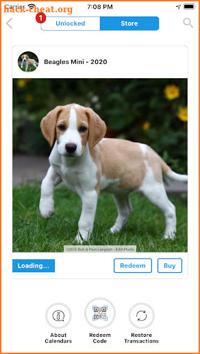 DogDays | Puppies & Dogs Calendar Manager & Games screenshot
