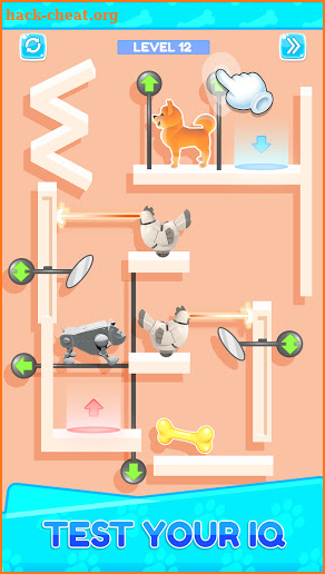 Doge Inu Shiba Pin Puzzle screenshot