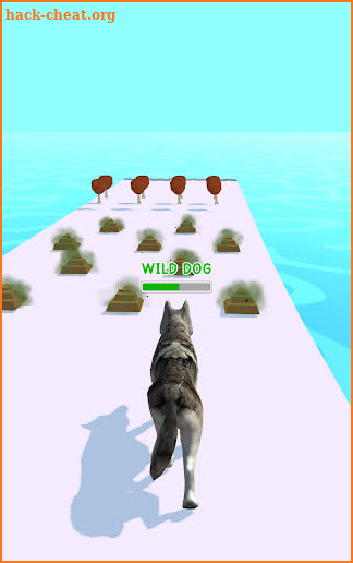 Doggy Run screenshot