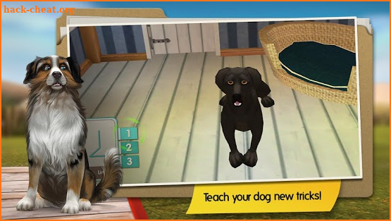 DogHotel Lite: My Dog Boarding screenshot