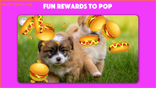 Dogs & Cats Puzzles for kids & toddlers 2 🐱🐩 screenshot