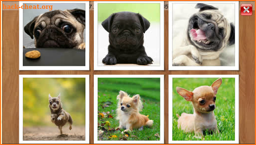 Dogs Puzzles for Kids & Adults. Free jigsaw game! screenshot