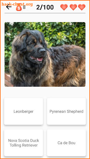 Dogs Quiz - Guess All Dog Breeds in the Photos screenshot