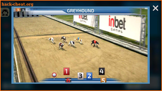 Dogs3D Races Betting screenshot