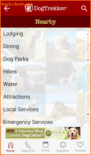 DogTrekker screenshot